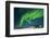 Aurora Borealis, Yellowknife, Northwest Territories, Canada.-Michael DeFreitas-Framed Photographic Print