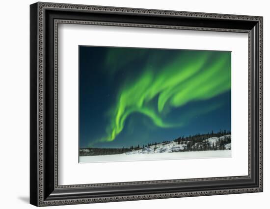 Aurora Borealis, Yellowknife, Northwest Territories, Canada.-Michael DeFreitas-Framed Photographic Print