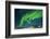 Aurora Borealis, Yellowknife, Northwest Territories, Canada.-Michael DeFreitas-Framed Photographic Print