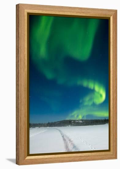 Aurora Borealis, Yellowknife, Northwest Territories, Canada.-Michael DeFreitas-Framed Premier Image Canvas