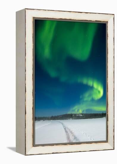Aurora Borealis, Yellowknife, Northwest Territories, Canada.-Michael DeFreitas-Framed Premier Image Canvas