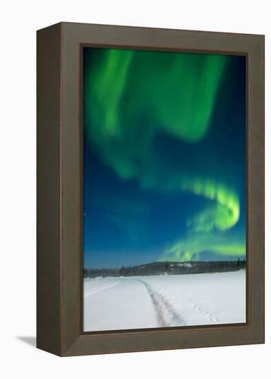 Aurora Borealis, Yellowknife, Northwest Territories, Canada.-Michael DeFreitas-Framed Premier Image Canvas