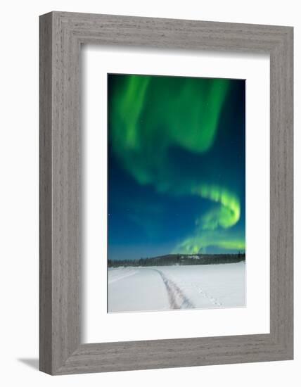 Aurora Borealis, Yellowknife, Northwest Territories, Canada.-Michael DeFreitas-Framed Photographic Print