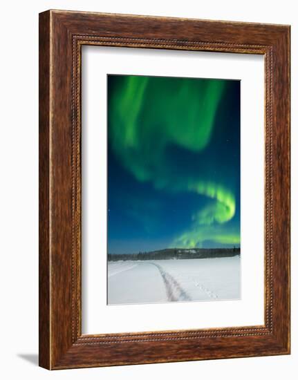 Aurora Borealis, Yellowknife, Northwest Territories, Canada.-Michael DeFreitas-Framed Photographic Print