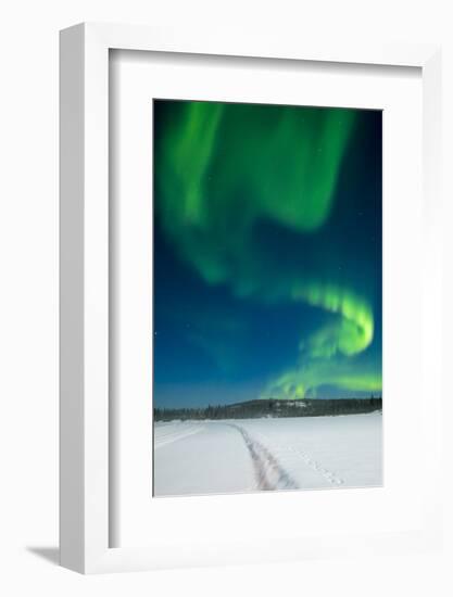 Aurora Borealis, Yellowknife, Northwest Territories, Canada.-Michael DeFreitas-Framed Photographic Print