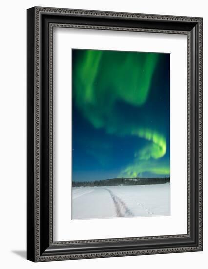 Aurora Borealis, Yellowknife, Northwest Territories, Canada.-Michael DeFreitas-Framed Photographic Print