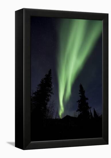 Aurora Borealis-Chris Madeley-Framed Premier Image Canvas