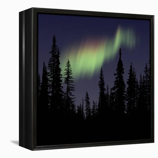 Aurora Borealis-Mark Taylor-Framed Premier Image Canvas