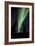 Aurora Borealis-Chris Madeley-Framed Photographic Print