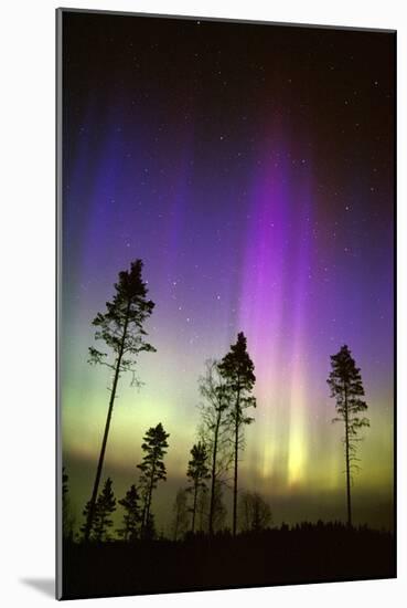 Aurora Borealis-Pekka Parviainen-Mounted Photographic Print