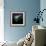 Aurora Borealis-Mark Taylor-Framed Photographic Print displayed on a wall