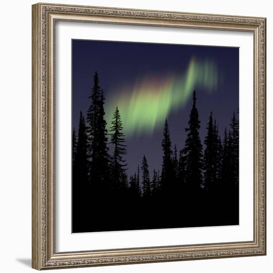 Aurora Borealis-Mark Taylor-Framed Photographic Print