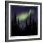 Aurora Borealis-Mark Taylor-Framed Photographic Print
