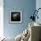 Aurora Borealis-Mark Taylor-Framed Photographic Print displayed on a wall