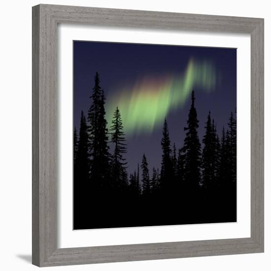 Aurora Borealis-Mark Taylor-Framed Photographic Print