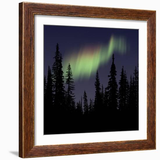 Aurora Borealis-Mark Taylor-Framed Photographic Print