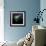 Aurora Borealis-Mark Taylor-Framed Photographic Print displayed on a wall