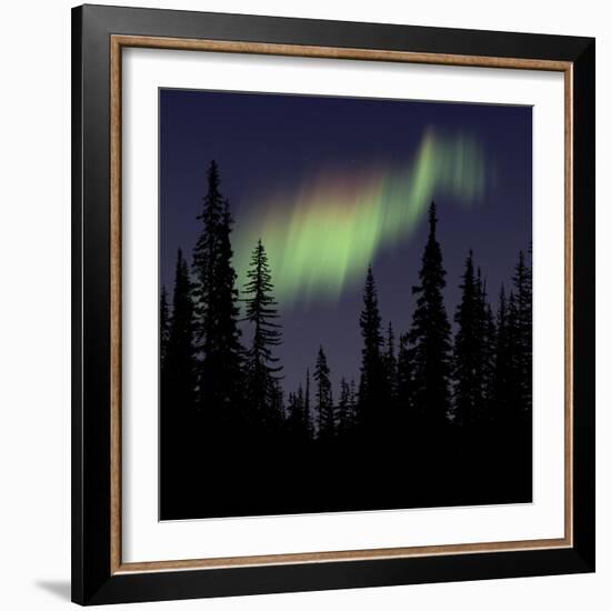 Aurora Borealis-Mark Taylor-Framed Photographic Print