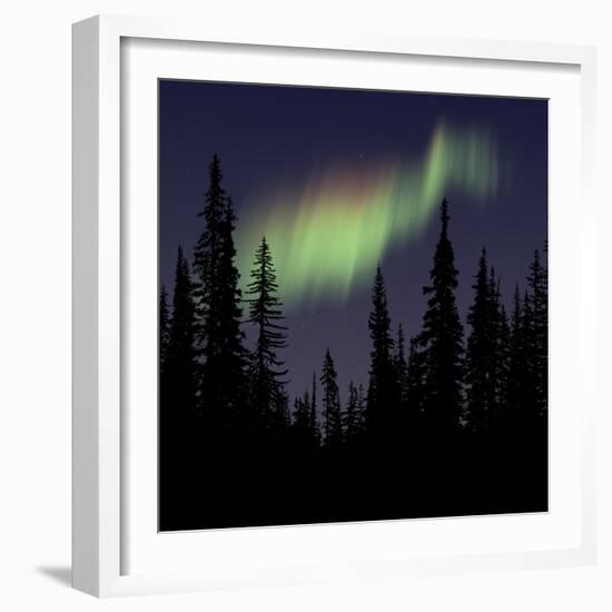 Aurora Borealis-Mark Taylor-Framed Photographic Print