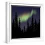 Aurora Borealis-Mark Taylor-Framed Photographic Print