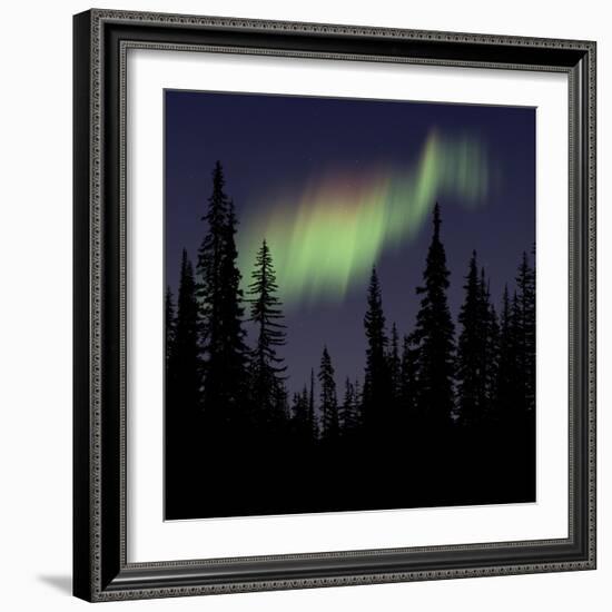 Aurora Borealis-Mark Taylor-Framed Photographic Print