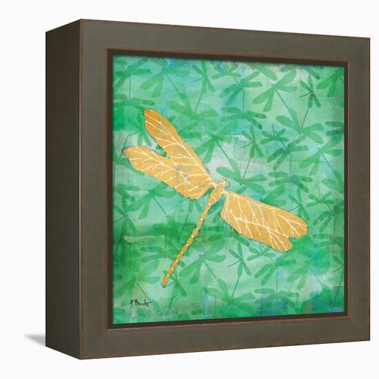 Aurora Dragonfly-Paul Brent-Framed Stretched Canvas