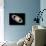 Aurora on Saturn-null-Photographic Print displayed on a wall