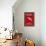 Aurora Red Salmon-null-Framed Stretched Canvas displayed on a wall