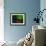 Aurora-Ursula Abresch-Framed Photographic Print displayed on a wall