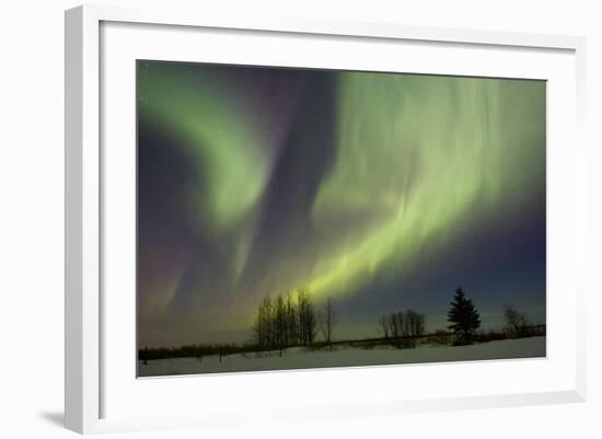 Aurora-Joss-Framed Photographic Print
