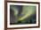 Aurora-Joss-Framed Photographic Print