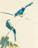 Birds-Aurore De La Morinerie-Framed Art Print
