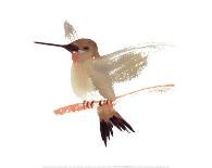 Hummingbird-Aurore De La Morinerie-Art Print