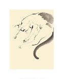 Cat from the back-Aurore De La Morinrie-Framed Art Print