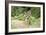 Auspicious-Susann Parker-Framed Photographic Print