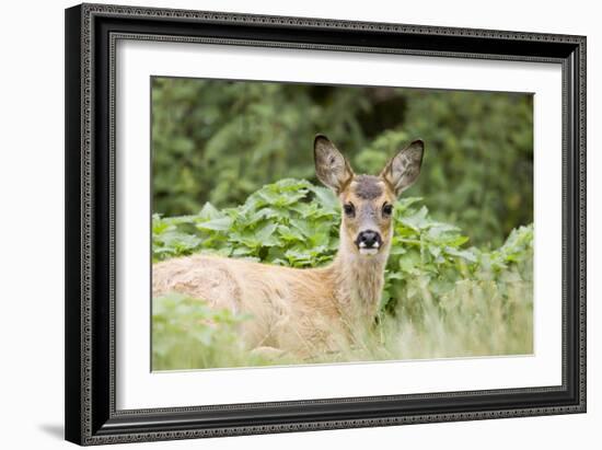 Auspicious-Susann Parker-Framed Photographic Print