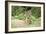 Auspicious-Susann Parker-Framed Photographic Print