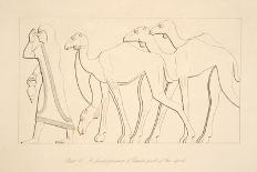 A Female Prisoner and Camel, Illustration from 'Monuments of Nineveh', 1849 (Engraving)-Austen Henry Layard-Framed Giclee Print
