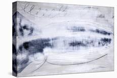 Aqua Tide-Austin Allen James-Framed Stretched Canvas