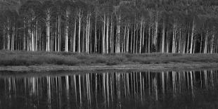 Black And White Panoramic Shot Of Willow Lake, Big Cottonwood Canyon, Utah-Austin Cronnelly-Framed Premier Image Canvas