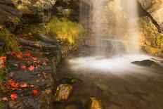 Fall Leaves At The Bottom Of A Waterfall In The Foothills Of The Wasatch Mountains, Utah-Austin Cronnelly-Framed Premier Image Canvas