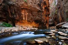 The Narrows In Zion National Park, Utah-Austin Cronnelly-Photographic Print