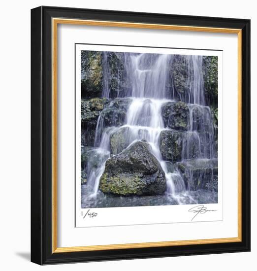 Austin Falls-Ken Bremer-Framed Limited Edition