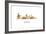 Austin Texas Skyline-Marlene Watson-Framed Giclee Print