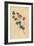 Austral Trefoil or New-Holland Lotus, Lotus Australis-Sydenham Teast Edwards-Framed Giclee Print