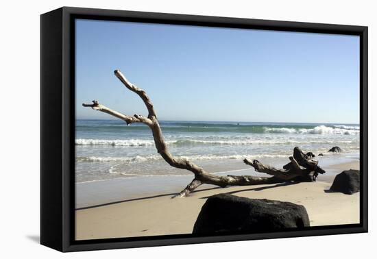 Australia 2-Karen Williams-Framed Premier Image Canvas