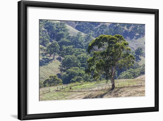 Australia, Adelaide Hills, Landscape-Walter Bibikow-Framed Photographic Print