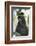 Australia, Alice Springs. Black Cockatoo-Cindy Miller Hopkins-Framed Photographic Print