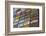 Australia, Alice Springs. Display of Assorted License Plates-Cindy Miller Hopkins-Framed Photographic Print
