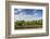 Australia, Barossa Valley, Rowland Flat, Jacobs Creek Winery, Vineyard-Walter Bibikow-Framed Photographic Print